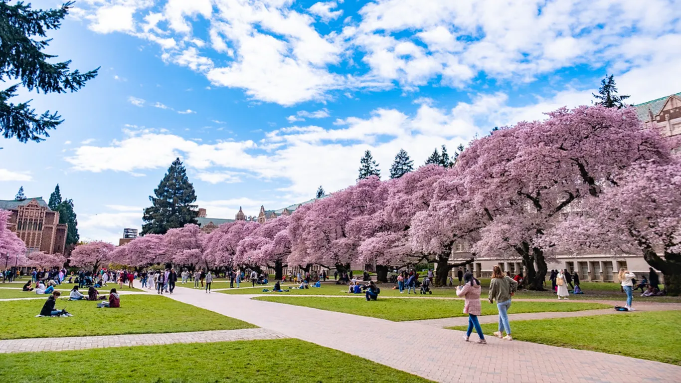 University of Washington